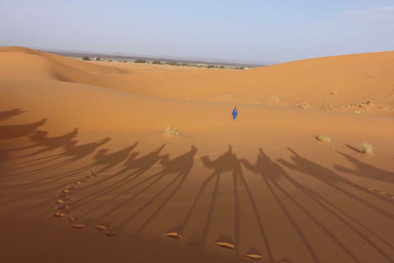 Shadows of camels and riders cast on sand dunes at sunrise in the Sahara