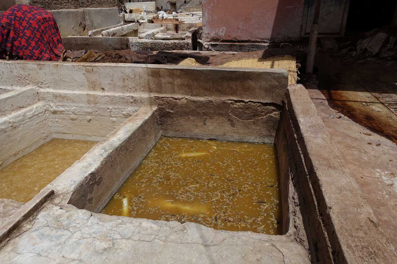 Close-up of a vat with tanning solution and floating organic material in Moroccan tannery