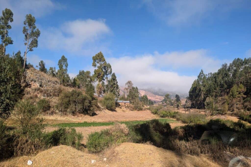 View from the Peru trains passing through scenic Andes mountains from Cusco to Machu Picchu