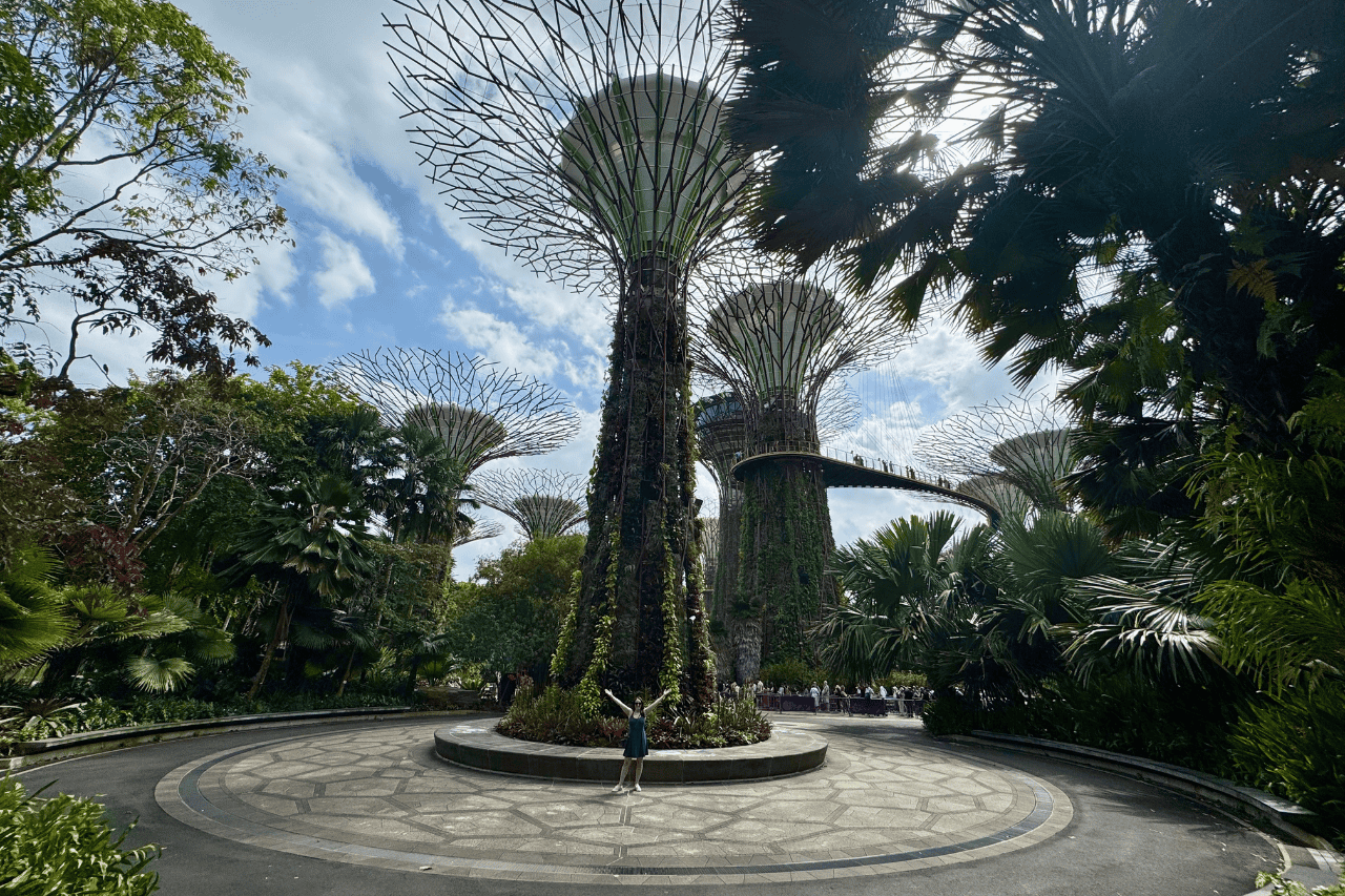 Supertree Grove at Gardens by the Bay