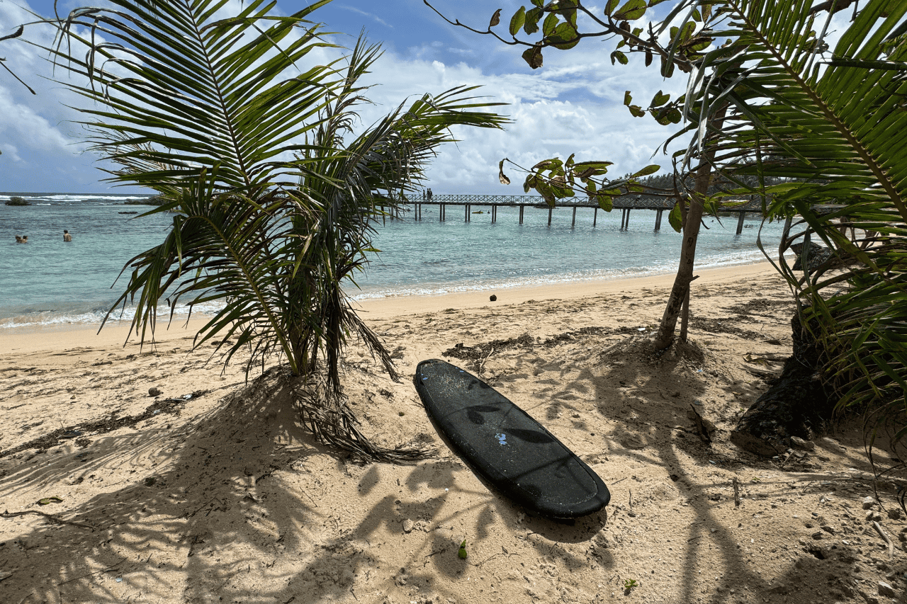 Black surfboard in the white sand surrounded by palm trees