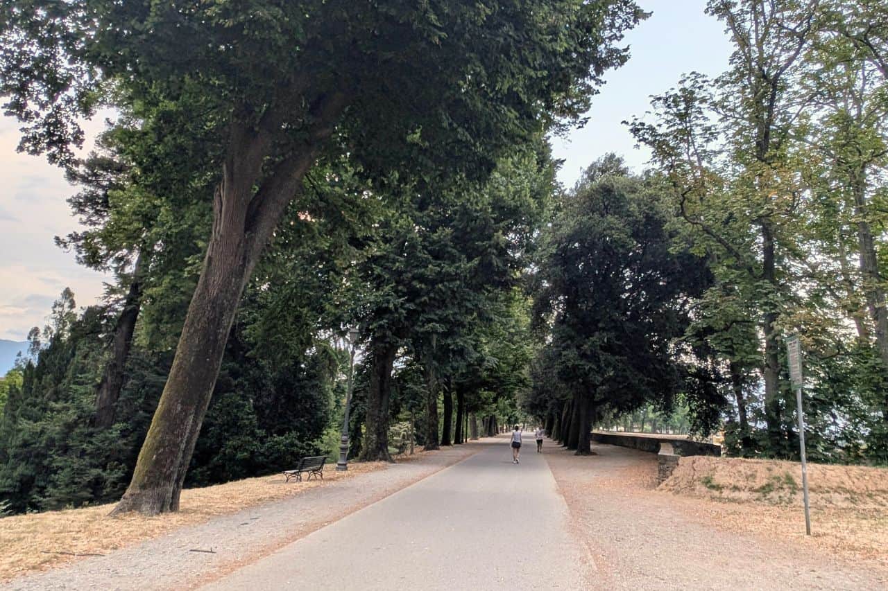 Bike Path and Pedestrians on Lucca Italy’s City Wall People walking and biking along the scenic bike path on Lucca Italy’s historic city walls