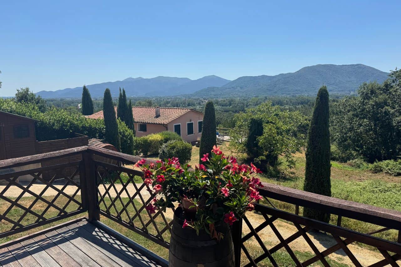 Green Landscape at Fattoria Al Dotto Winery Near Luccalucca.jpg Rolling green vineyards and olive groves at Fattoria Al Dotto winery just outside Lucca Italy