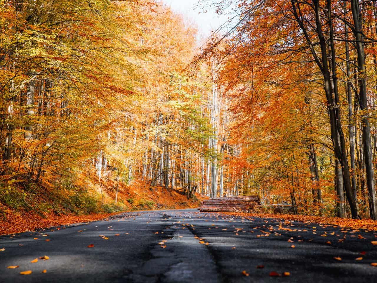 Scenic road surrounded by colorful fall foliage near Ludlow Vermont