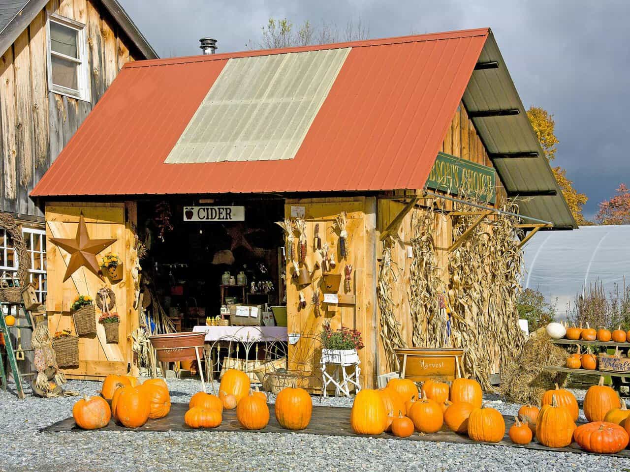 Rustic Vermont farm stand with pumpkins during autumn