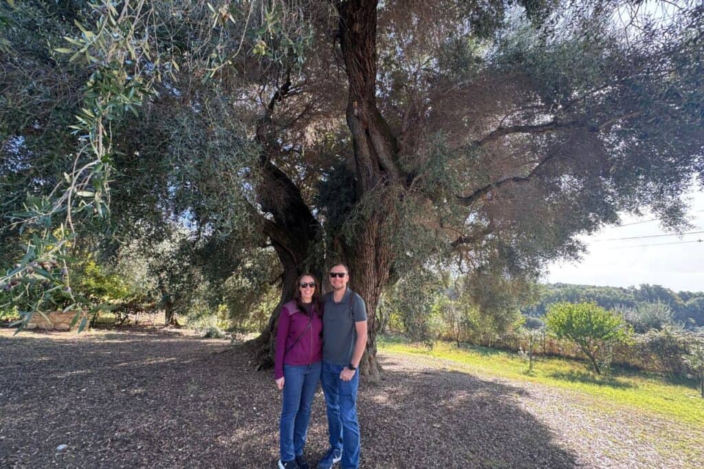 Two visitors standing beneath a massive ancient olive tree in Italy