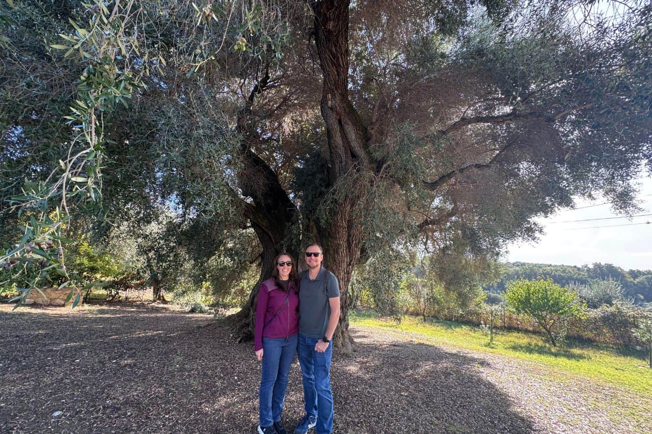 Visiting the Ancient Olive Tree Two visitors standing beneath a massive ancient olive tree in Italy