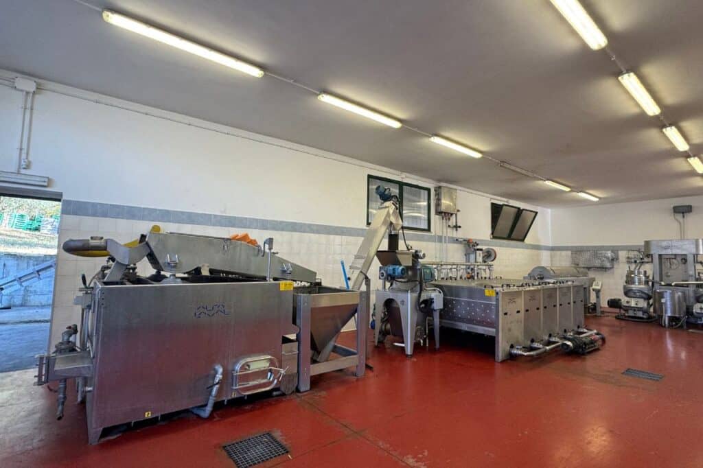 Olive oil production equipment inside a working Italian olive mill